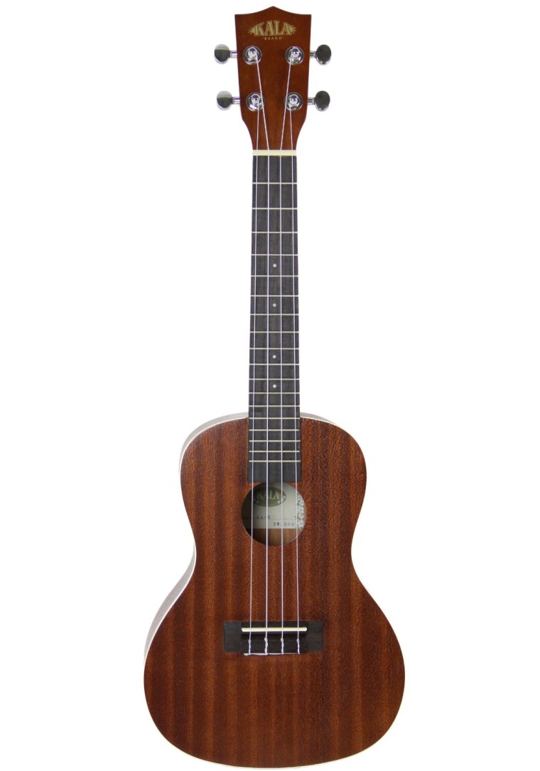 The Top 6 Beginner Ukuleles for 2015 UKE University