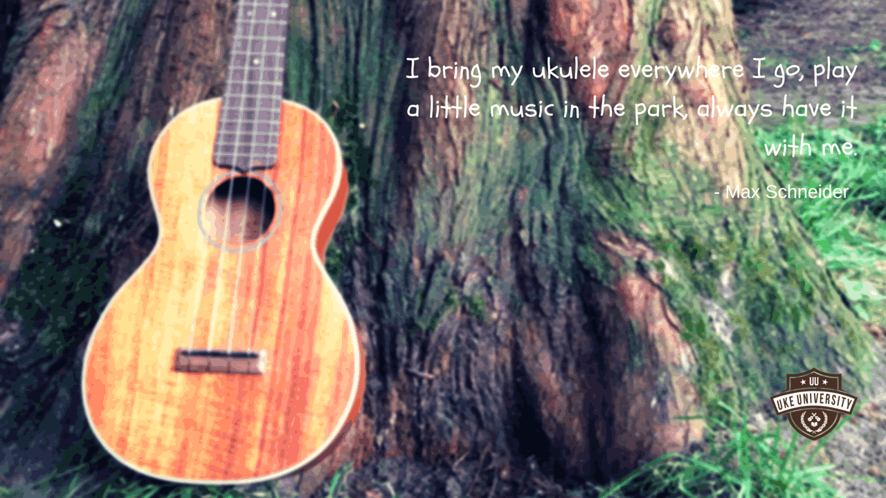 quote by max schnieder I bring my ukulele everywhere I go